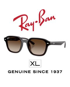 Alkuperäiset aurinkolasit > Ray-Ban 4458D · 714/13