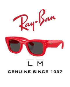 Alkuperäiset aurinkolasit > Ray-Ban 4940 - Puskuri 6831/87