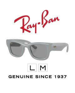 Alkuperäiset aurinkolasit > Ray-Ban 4940 · Puffer 6876/1